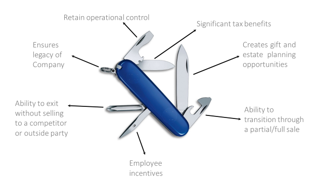 An illustration of a Swiss army knife